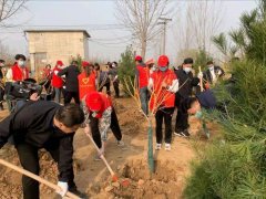 “多一片绿叶，多一份温馨” 问鼎网页版登录入口植树节义务植树活动