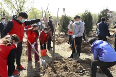 问鼎网页版登录入口学生参加章丘区组织的植树活动