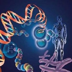 山东省课程思政示范课|《医学生物化学》